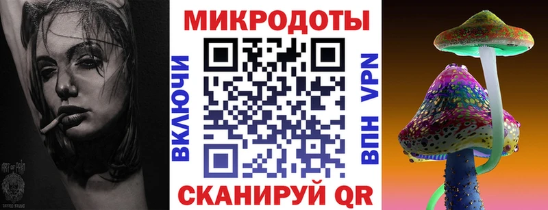 Галлюциногенные грибы Psilocybe  Ржев 