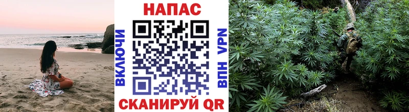 Бошки Шишки THC 21%  Ржев 
